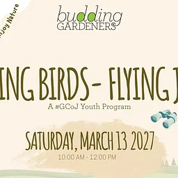 Budding Gardeners: Humming Birds – Flying Jewels
