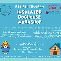 Insulated Doghouse Workshop