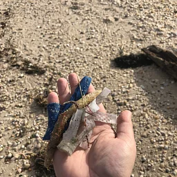 Weekly Beach Cleanup