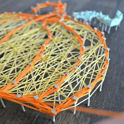 Crafting for Conservation: DIY String Art