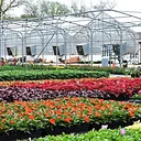 SOLD OUT – Greenhouse Tour