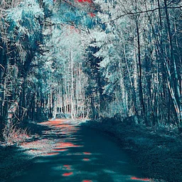 Moving Grief Together: An Outdoor Walking Grief Support Group