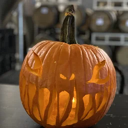 Pumpkin Extravaganza
