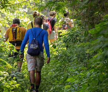 Naturalist Walk and Talk – Native Orchids