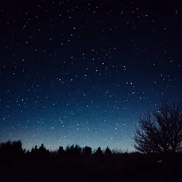 Stargazing at The Farmstead