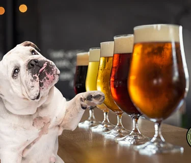 PAW Happy Hour