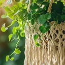 Nature(+) Macrame Plant Hangers