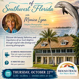 Dolphins of Southwest Florida