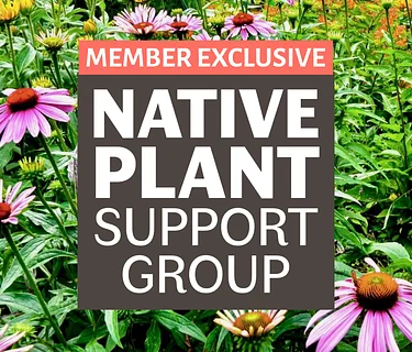Native Plant Support Group: Edible Native Plants