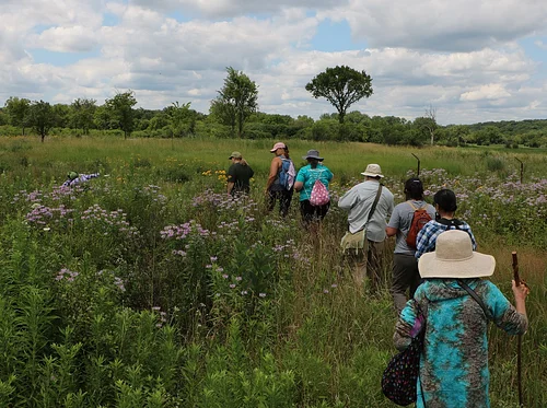 The Science of Clouds