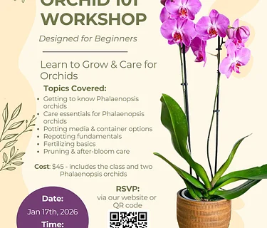 Orchid 101 Workshop