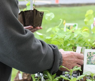 Spring Plant Sale