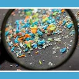 STEM Collective Workshop Series: Micropl...