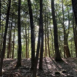 Public Trail Event: Bob Marshall Trail Opening