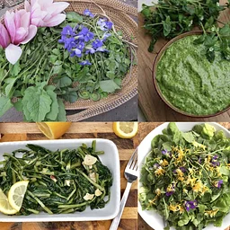 Foraging & Feasting