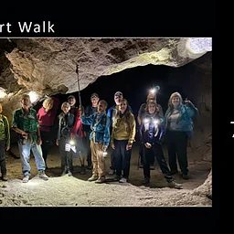 Full Moon Walk: South Palm Wash