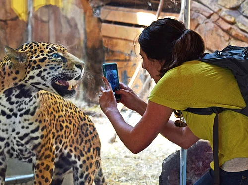 Free Admission for Norristown Borough Residents