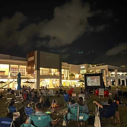 Outdoor Movie Night