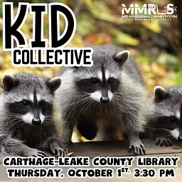 Kid Collective