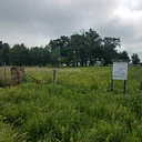 Prospect Cemetery Prairie 50th Nature Preserve Dedication Anniversary Celebration