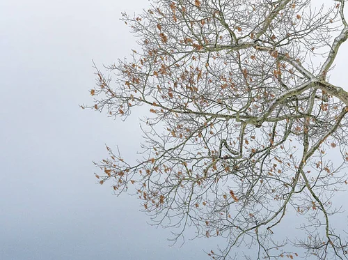 “A Different Light: Landscapes by Gwen Norton” Exhibition: July 26–August 25