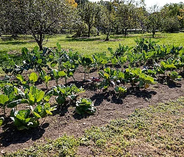 Riversdale Kitchen Guild: Welcome to Spring