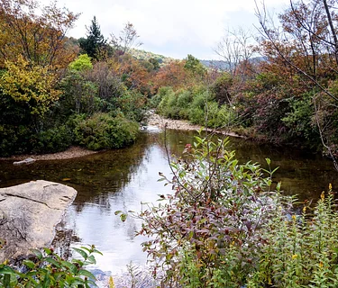 River Systems Field Class