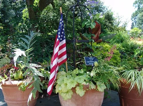 Virtual Lunchtime Tour: Patriotic Plants