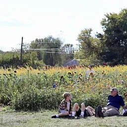Fall Family Fun Weekends