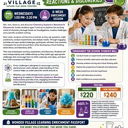 Chemistry Explorers: Reactions & Discoveries