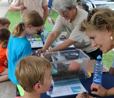 Insect Fest
