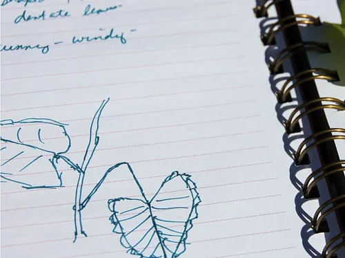 Nature Journaling for Adults at Isle a la Cache