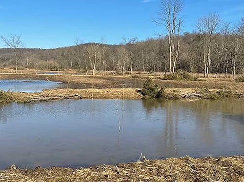 Backcountry Discovery Hike & Tour