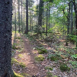 Guided hike at NORGAL Preserve