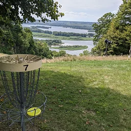 Kronk Disc (Flex) Singles Golf Chestnut Tournament