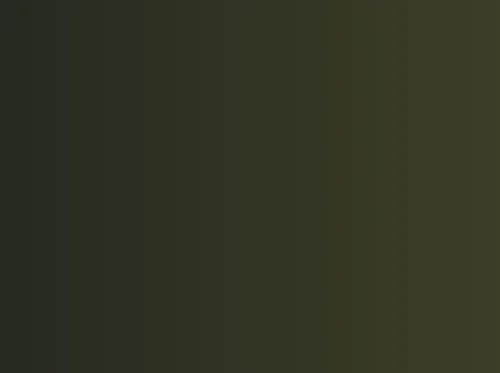 Judgement of Chicago Park