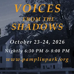 Voices From The Shadows