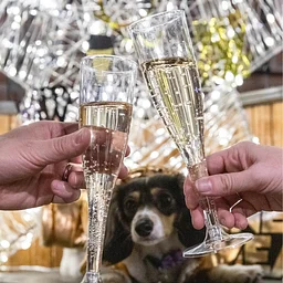 Annual New Years Eve Party!
