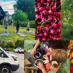 Volunteer: Harvest Day
