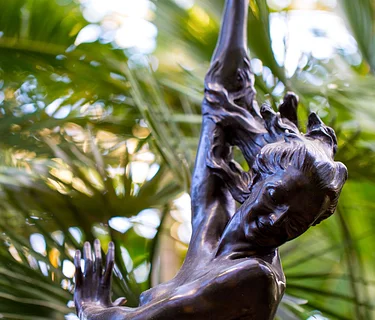 Art in the Conservatory