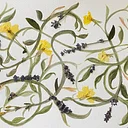 Making a Pressed Botanical Collage