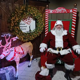 Santa Claus is coming to Whole Hearted Winery