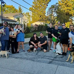 West Park Dog Walk- Old Lorain Connector Trail
