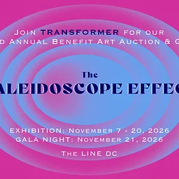 The Kaleidoscope Effect: Transformer’s 22nd Annual Auction Exhibition & Benefit Gala