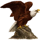 Hudson Valley Numismatics