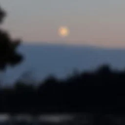 CANCELED: Full Moon Walk