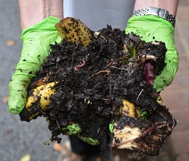 Enhancing Life in the Soil