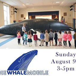 Whalemobile: A Life-sized Inflatable Whale Experience