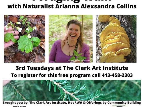 Foraging Walk at The Clark