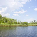 Walk on the Wild Side: Paradise Island Tour